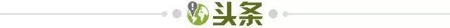 1774741894403004715.jpg 头条.jpg